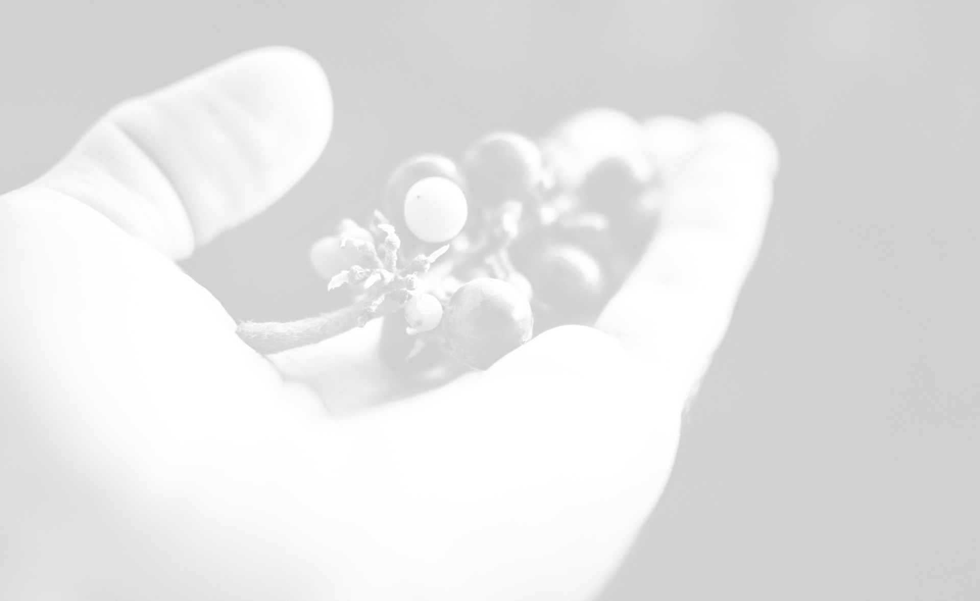 La visione comune di un successo internazionale